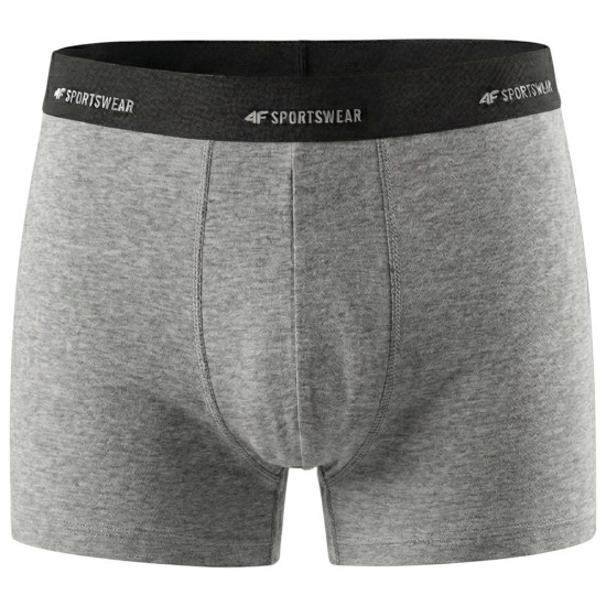 4F Ανδρικό εσώρουχο boxer 2-Pack